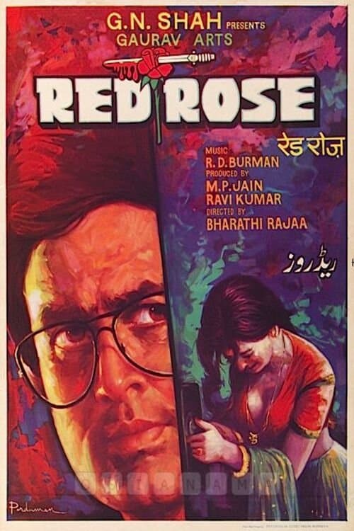 Red Rose photo