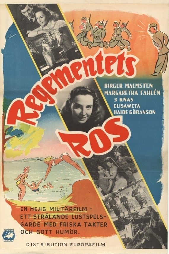 Regementets ros photo