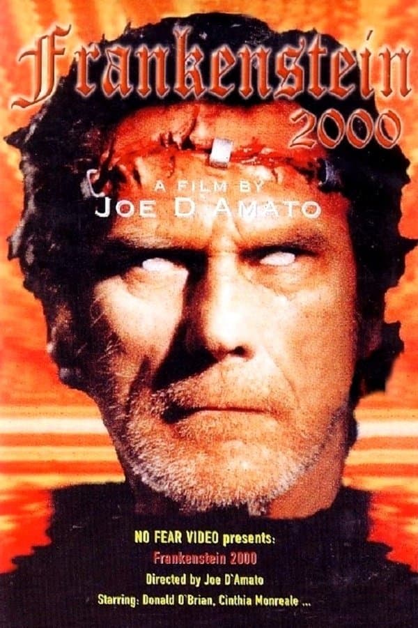 Return from Death: Frankenstein 2000 photo