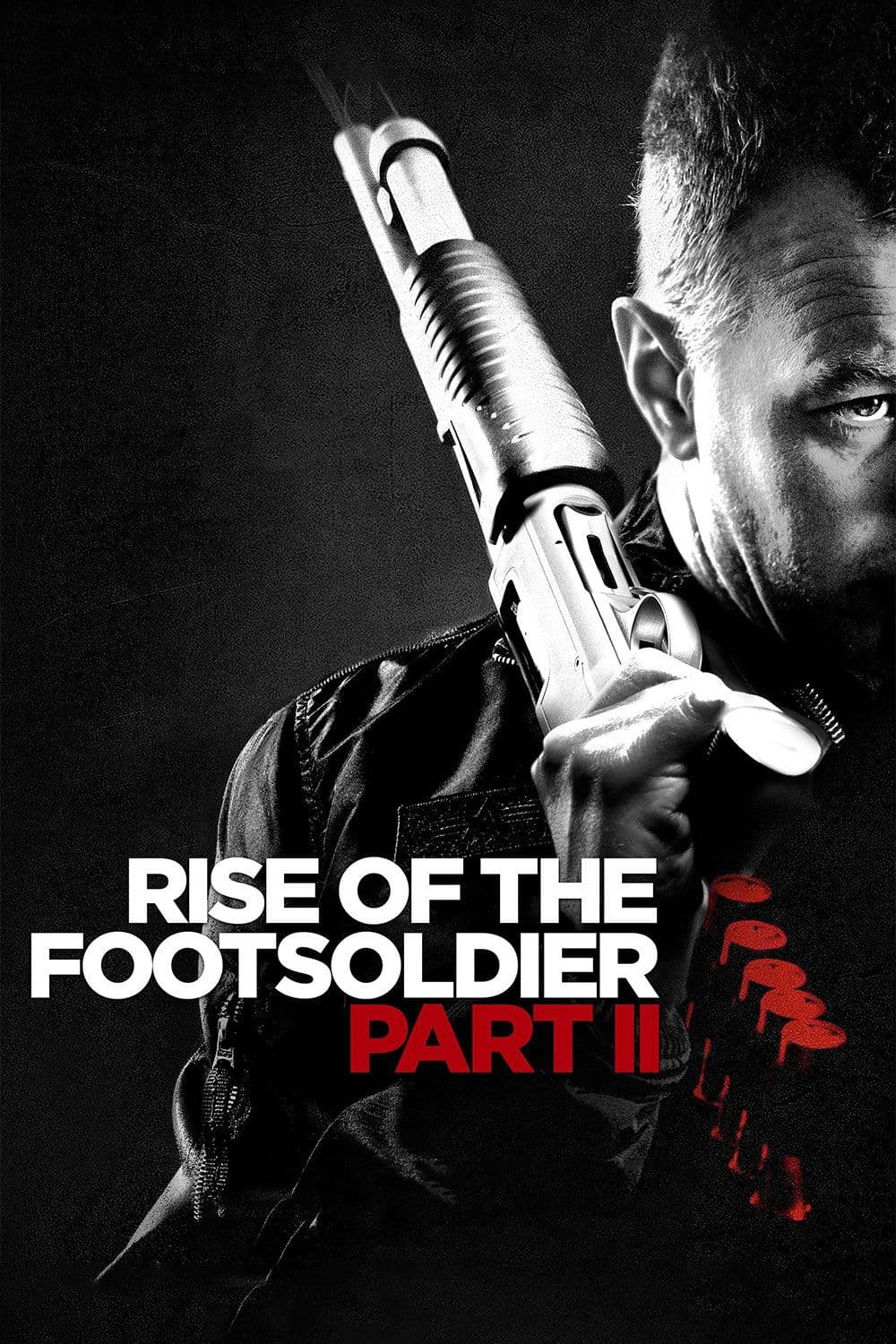 Rise of the Footsoldier: Part II photo