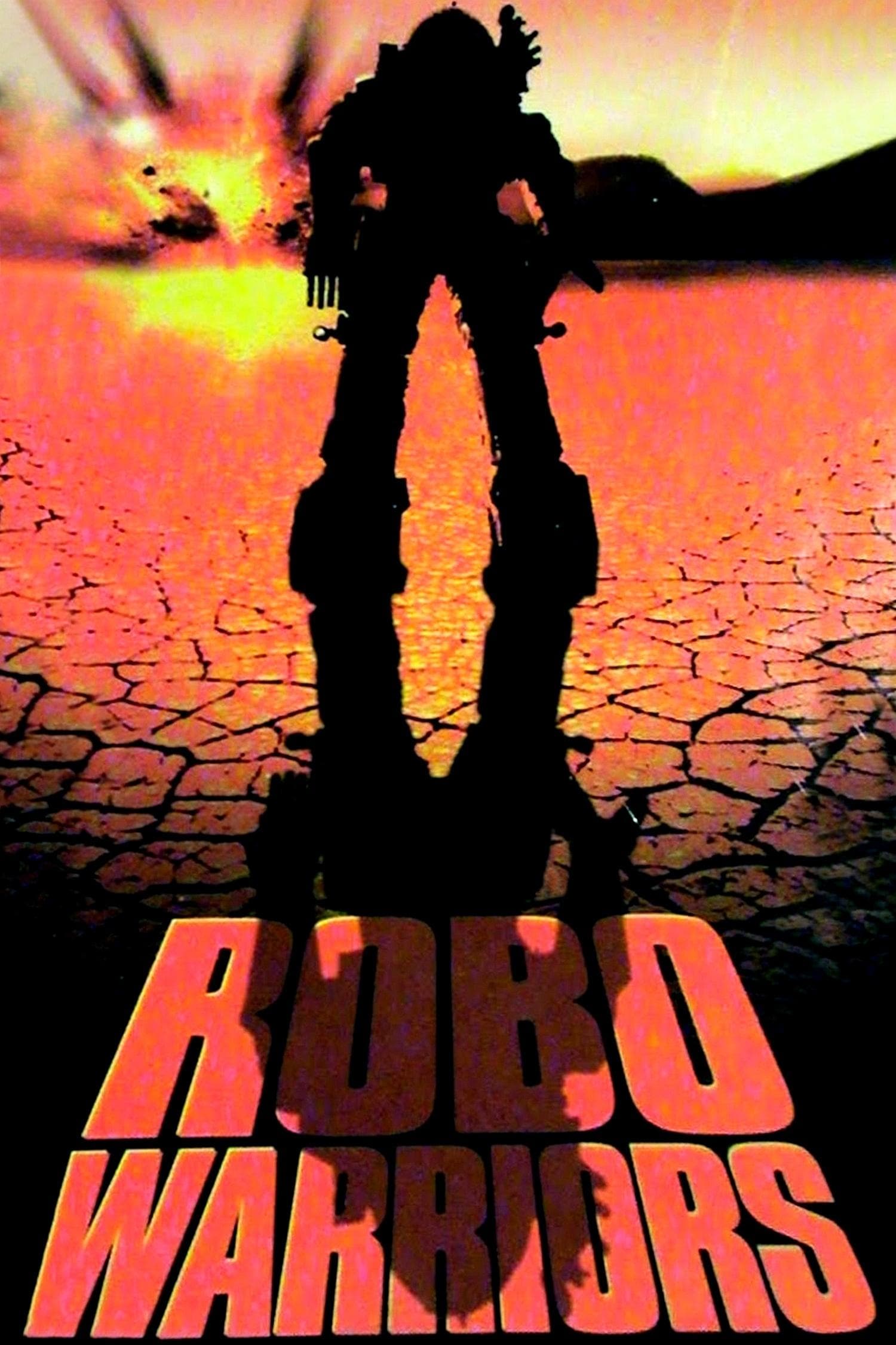 Robo Warriors photo
