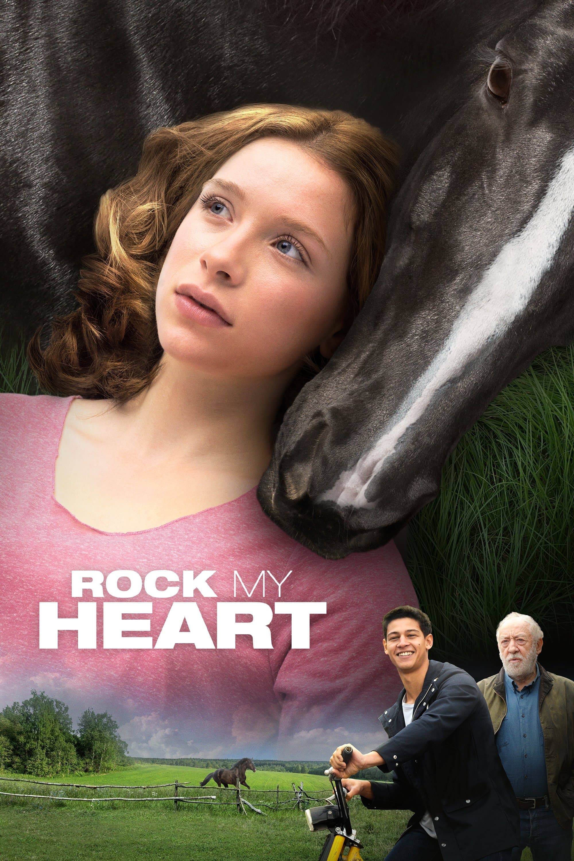 Rock My Heart photo