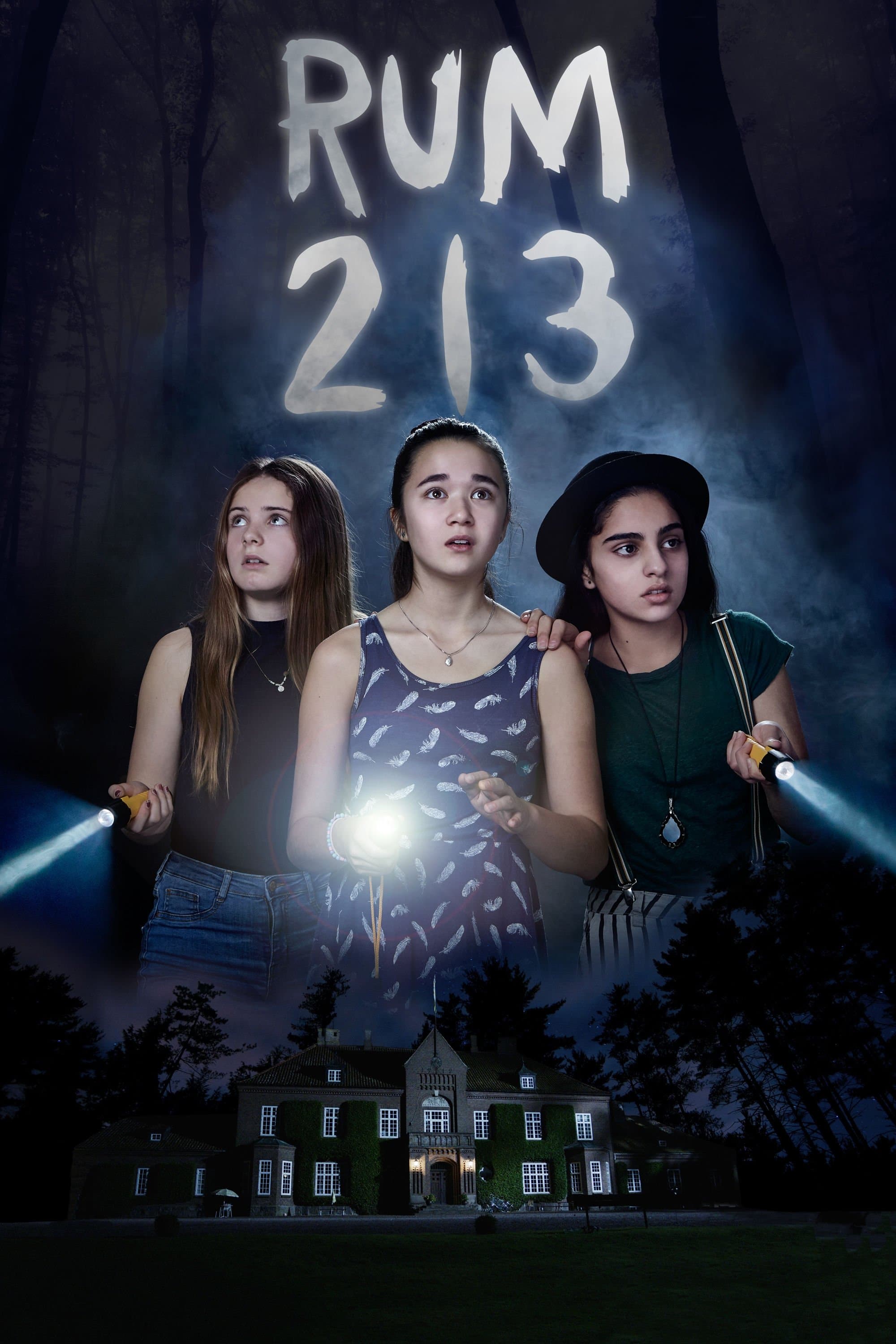 Room 213 photo