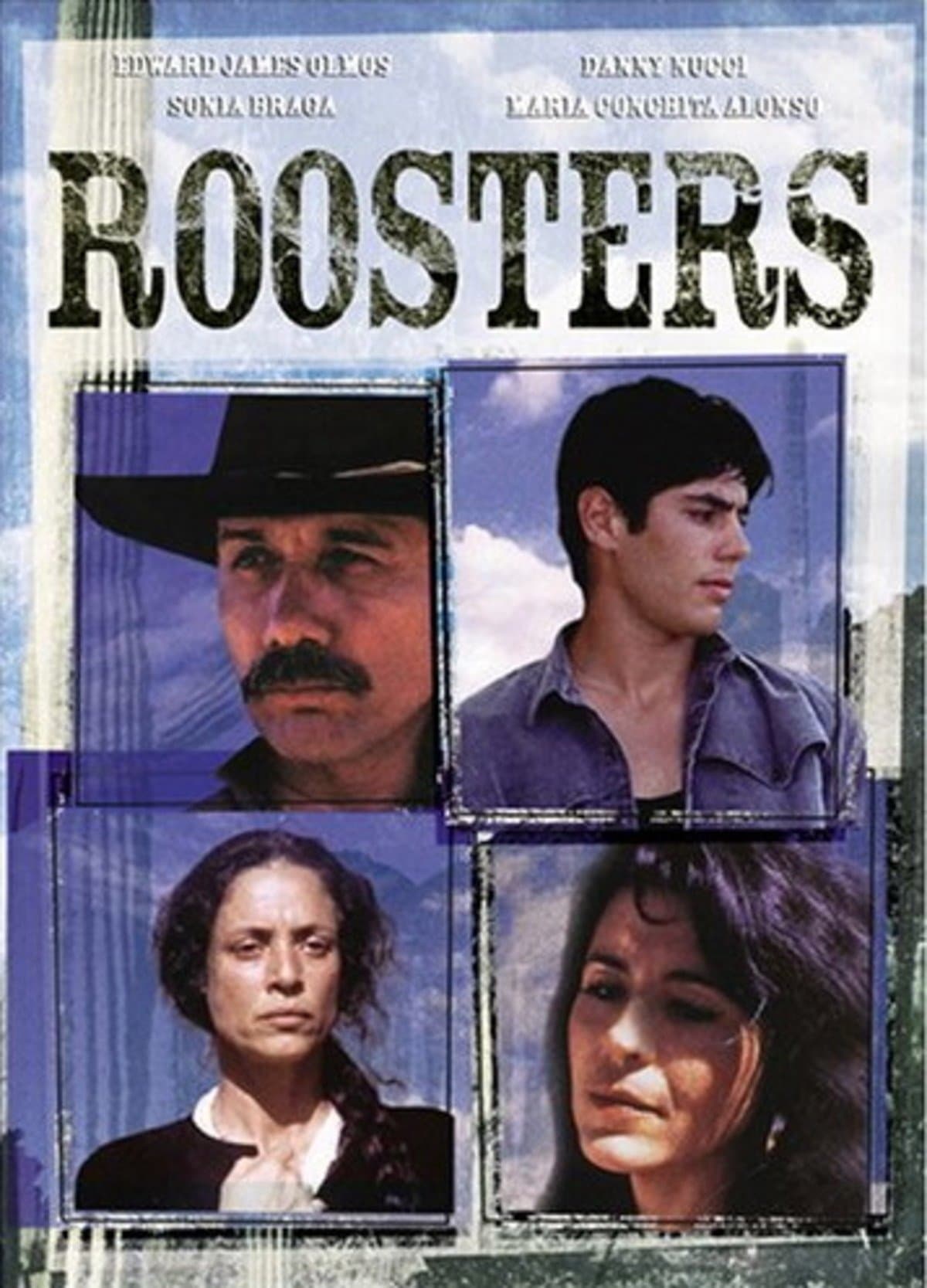 Roosters photo