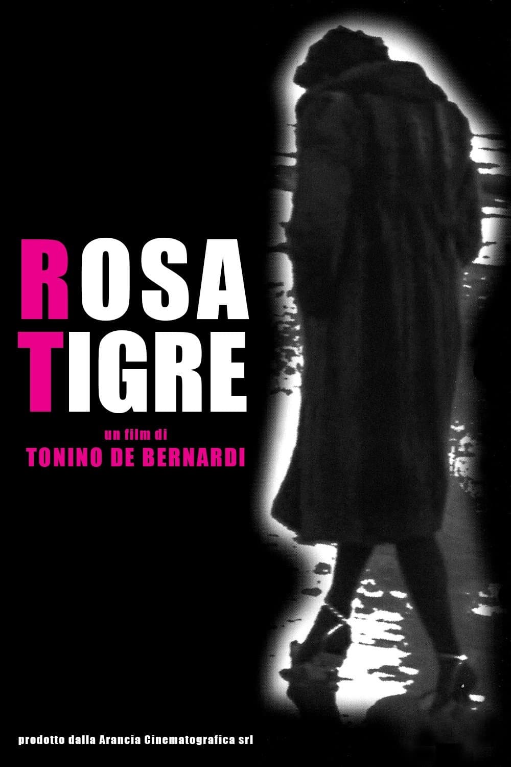 RosaTigre photo
