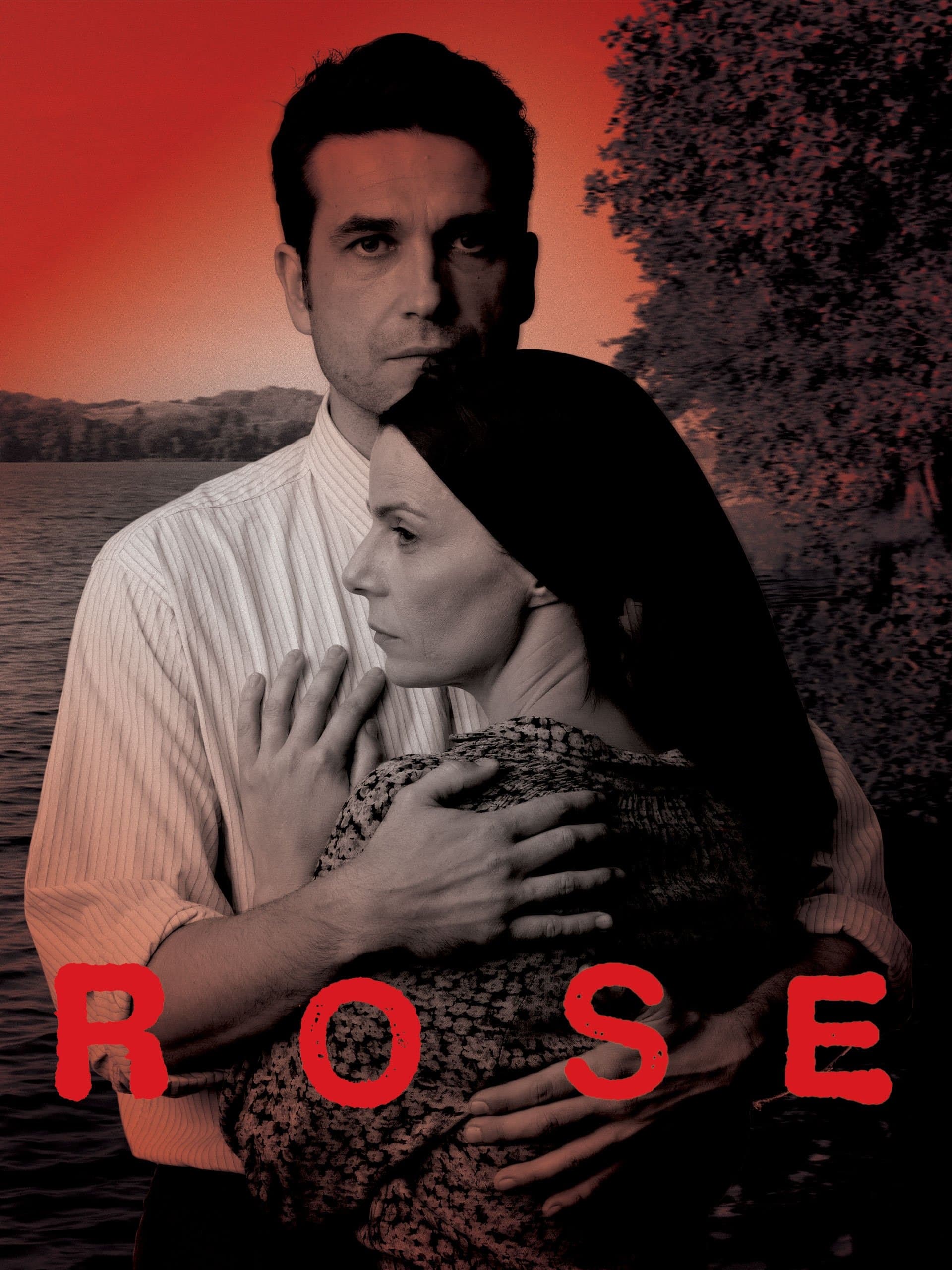 Rose photo