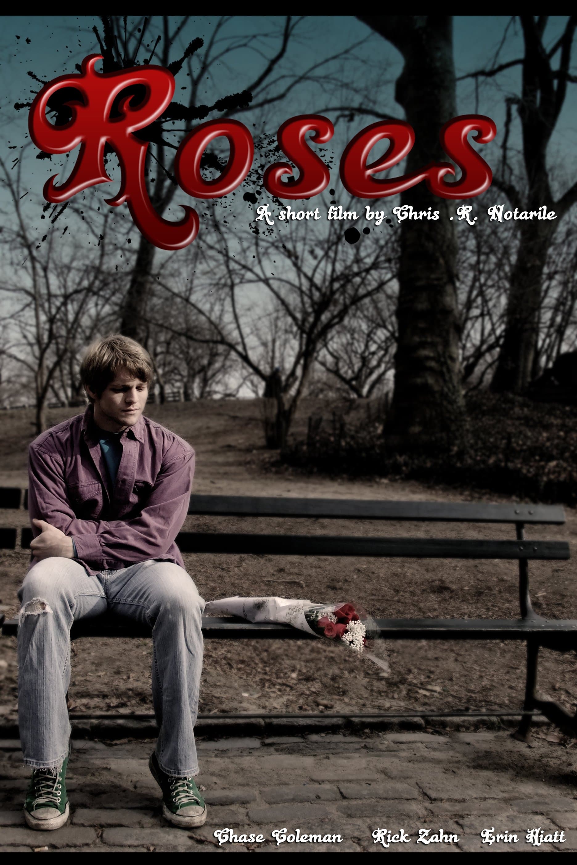 Roses photo