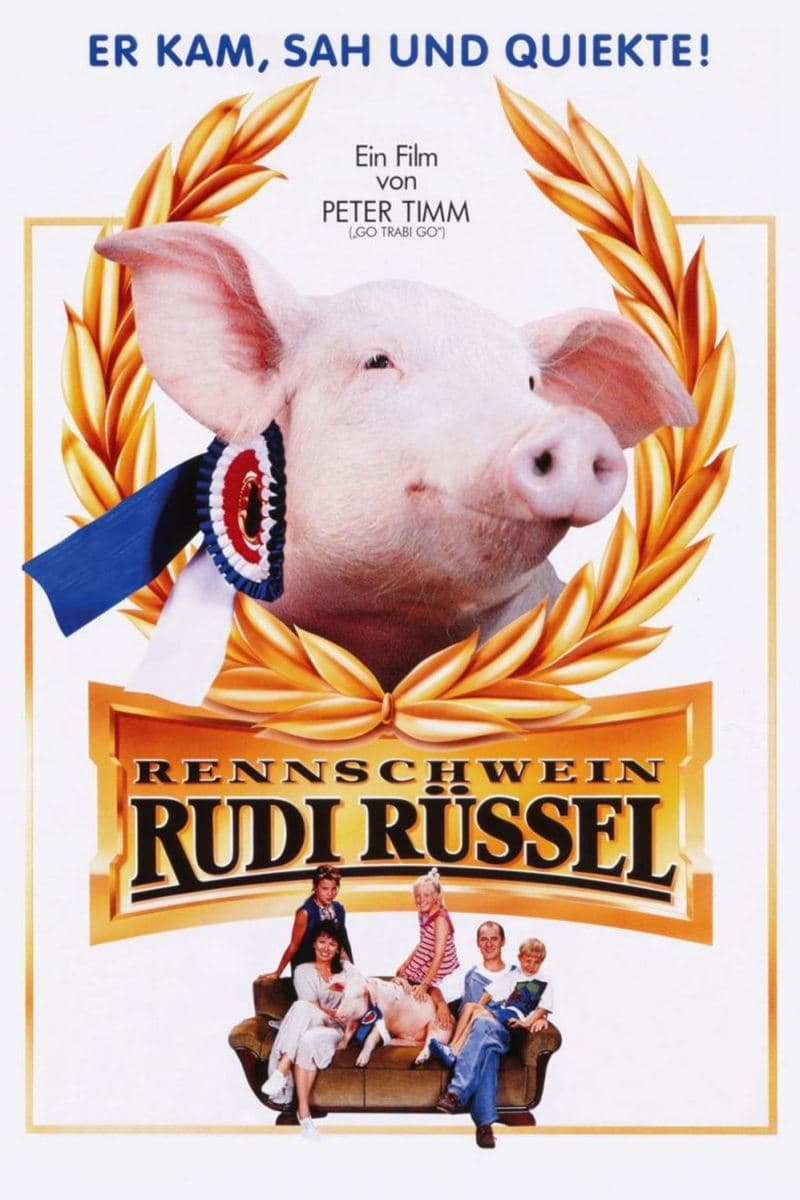 Rudy, the Racing Pig photo