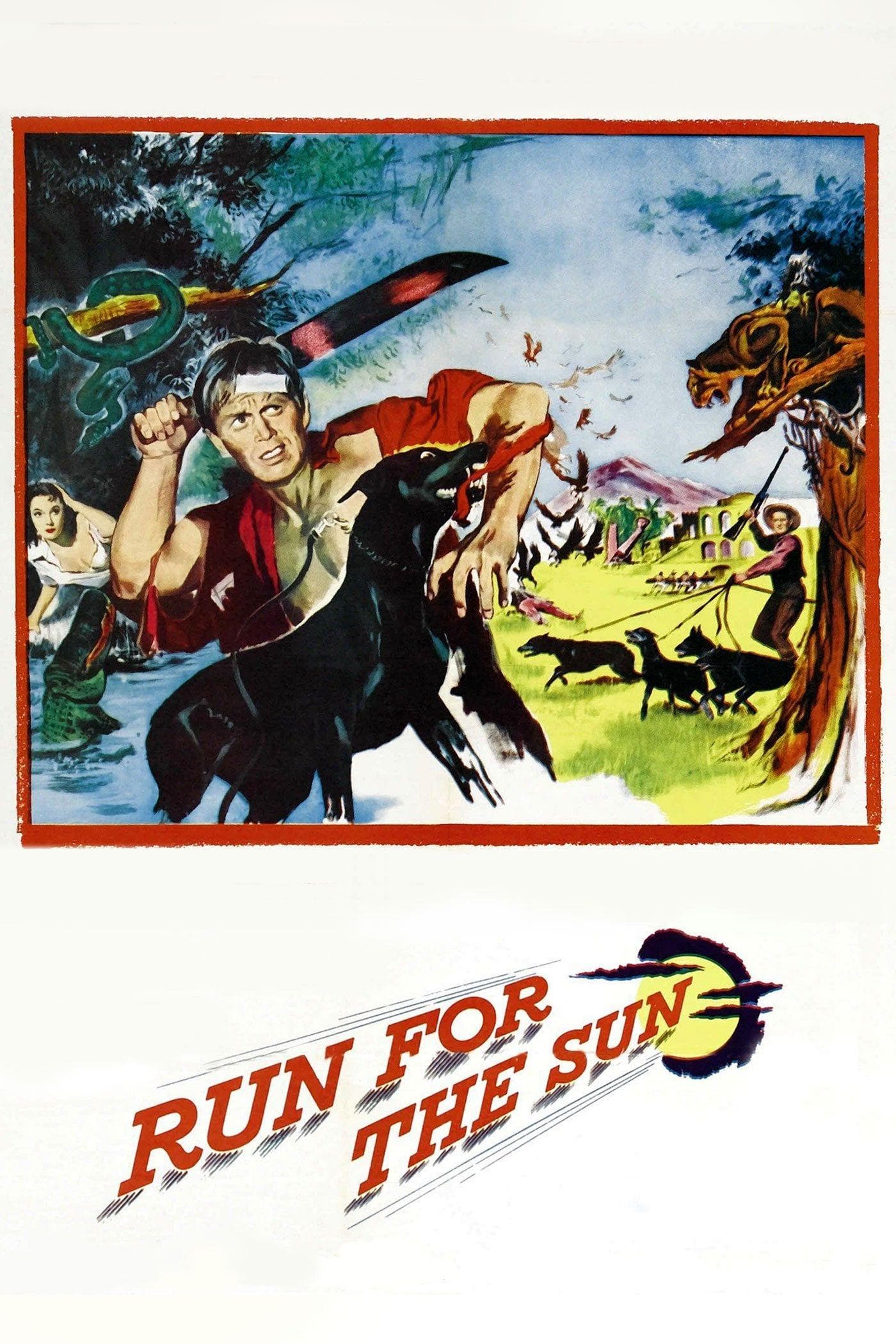 Run for the Sun photo
