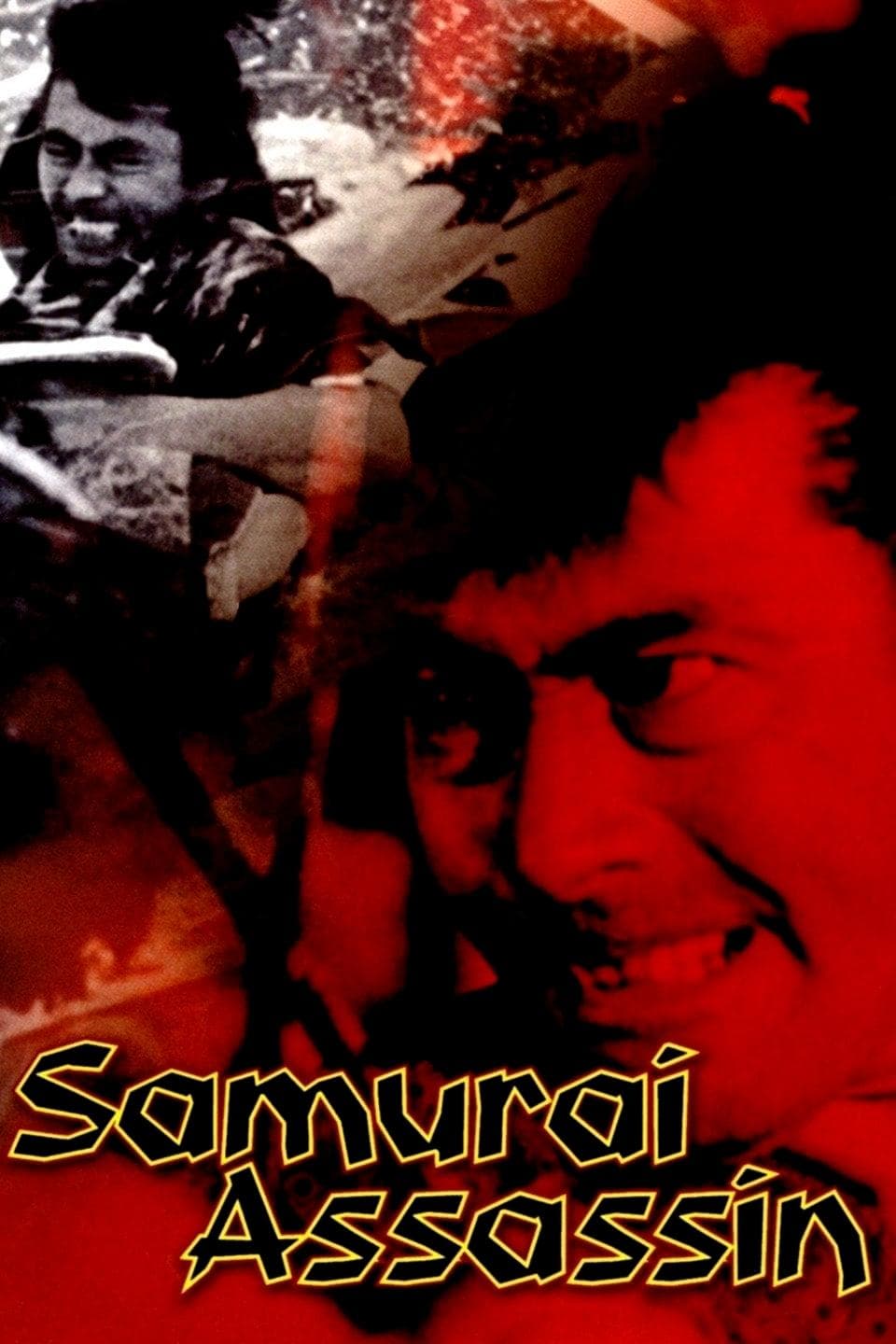 Samurai Assassin photo