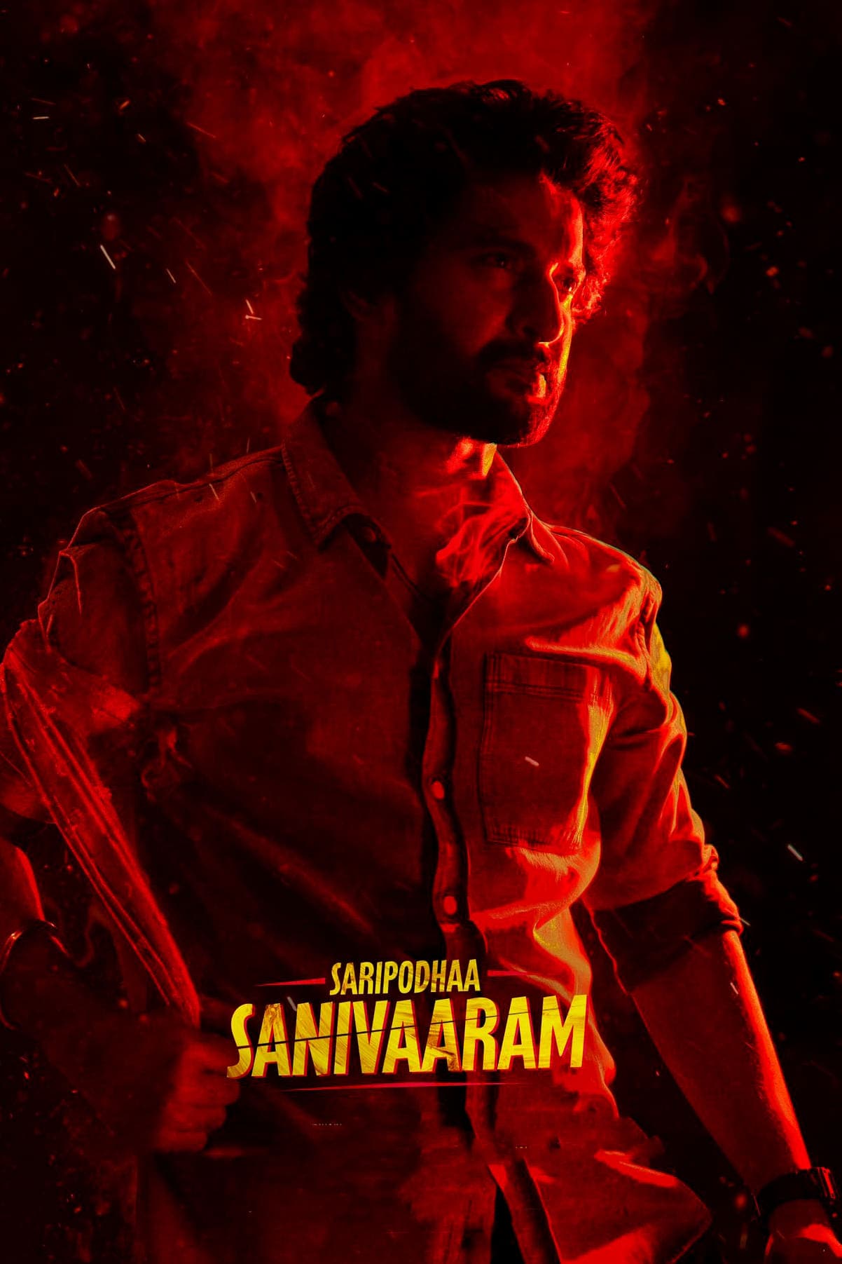 Saripodhaa Sanivaaram photo