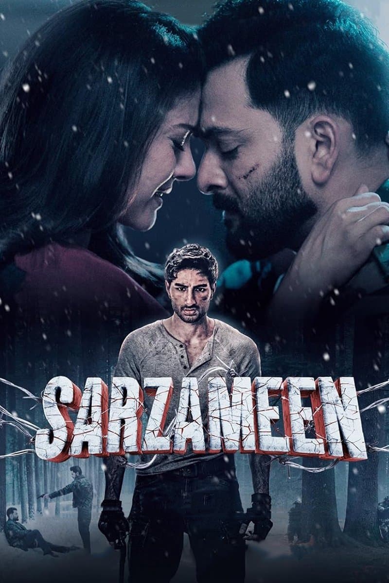 Sarzameen photo