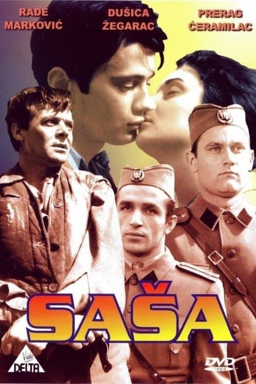 Sasha photo