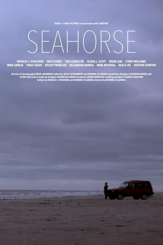 Seahorse photo