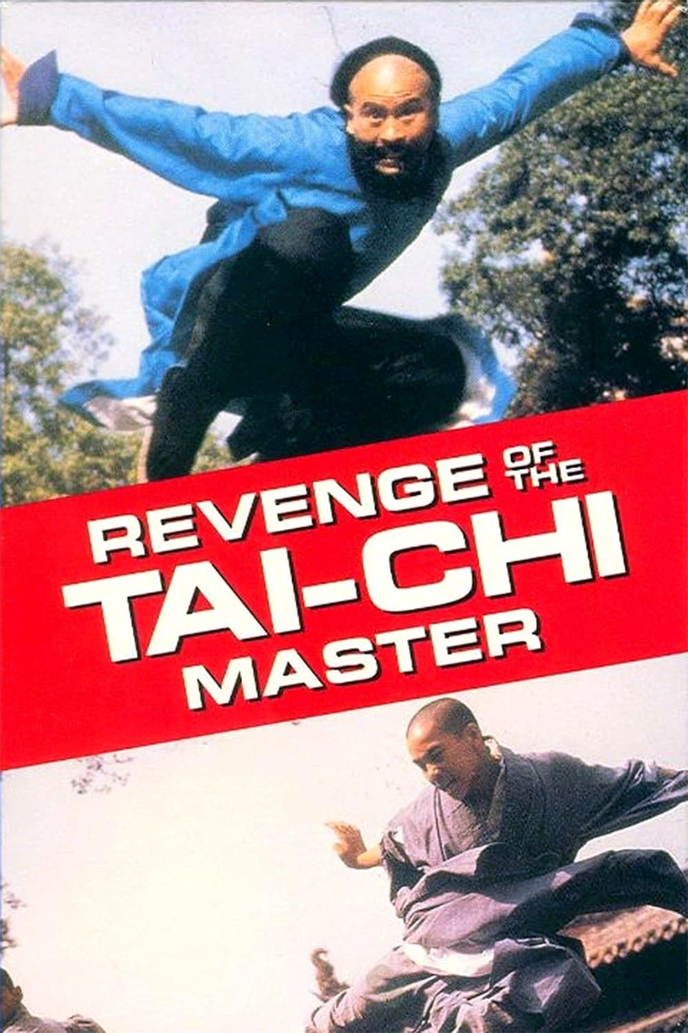 Secret of Tai Chi photo