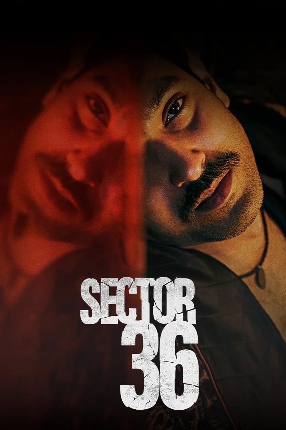 Sector 36 photo