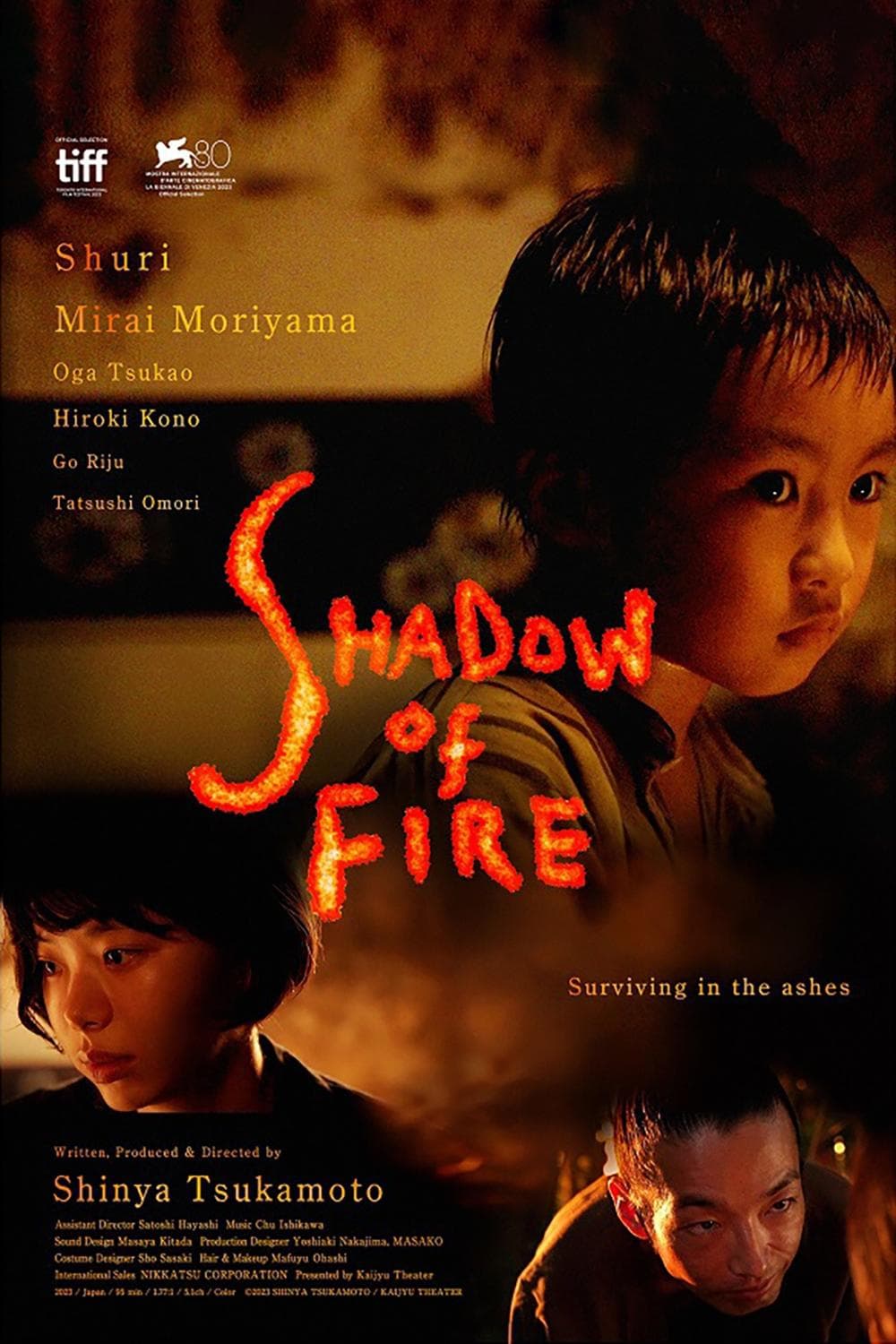 Shadow of Fire photo