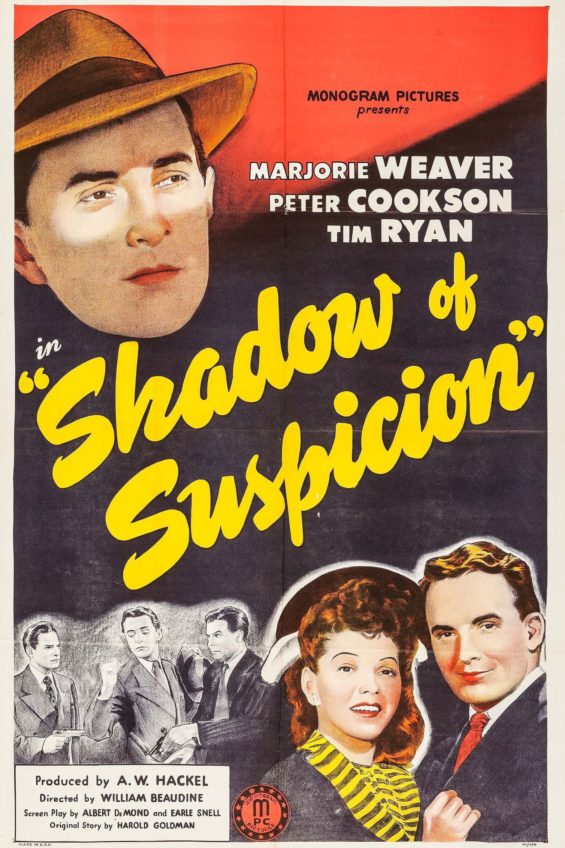 Shadow of Suspicion photo