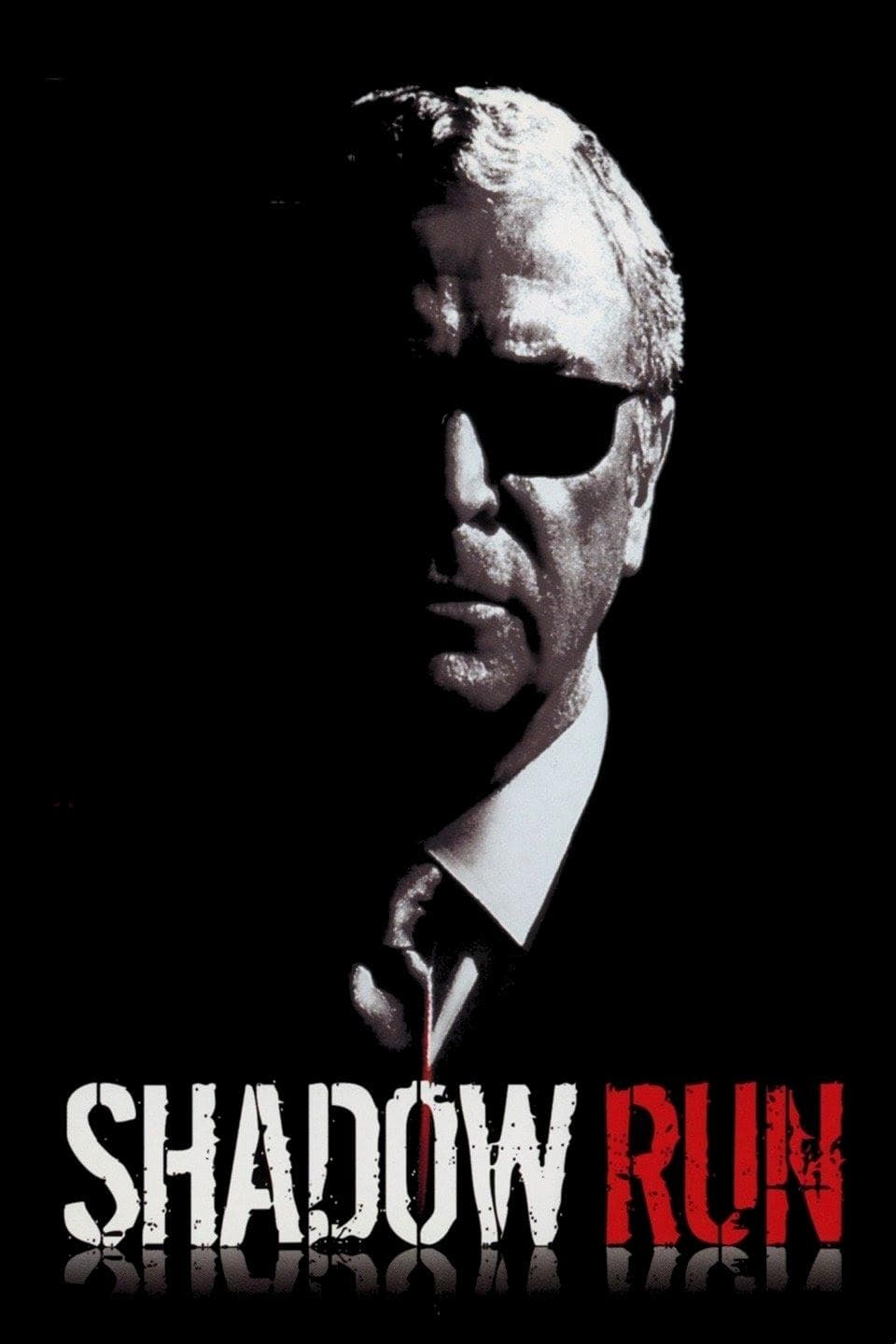 Shadow Run photo
