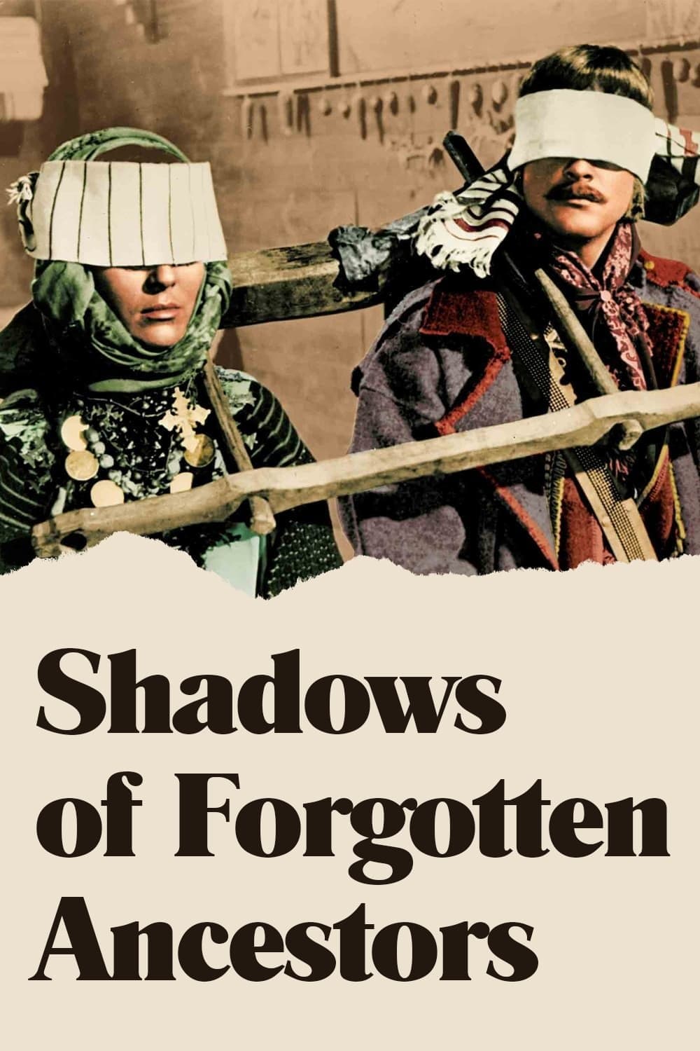 Shadows of Forgotten Ancestors photo