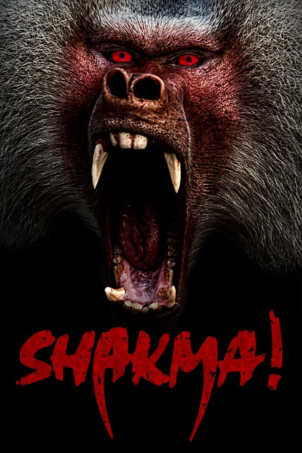Shakma photo
