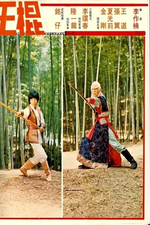 Shaolin Invincible Sticks photo