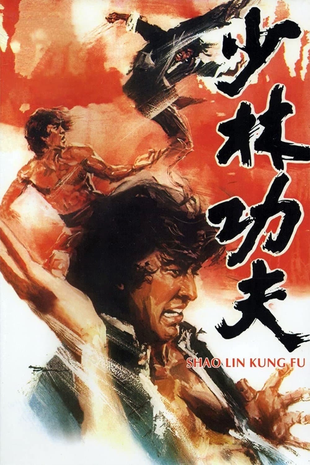 Shaolin Kung Fu photo