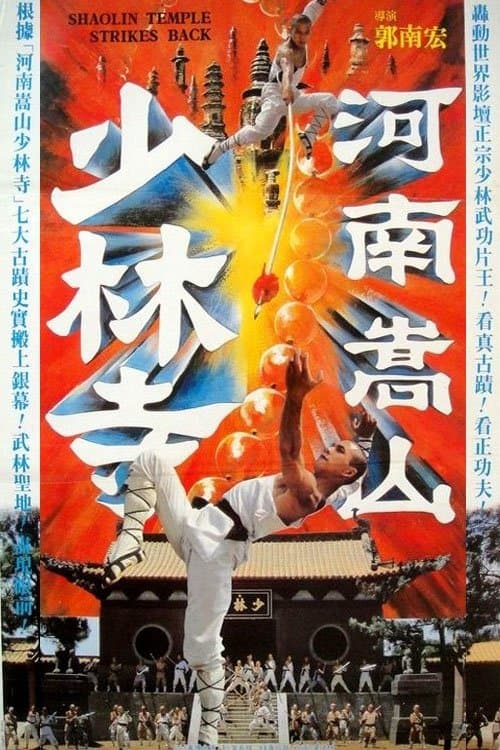 Shaolin Temple Strikes Back photo