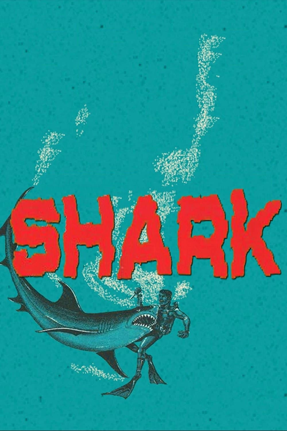 Shark photo