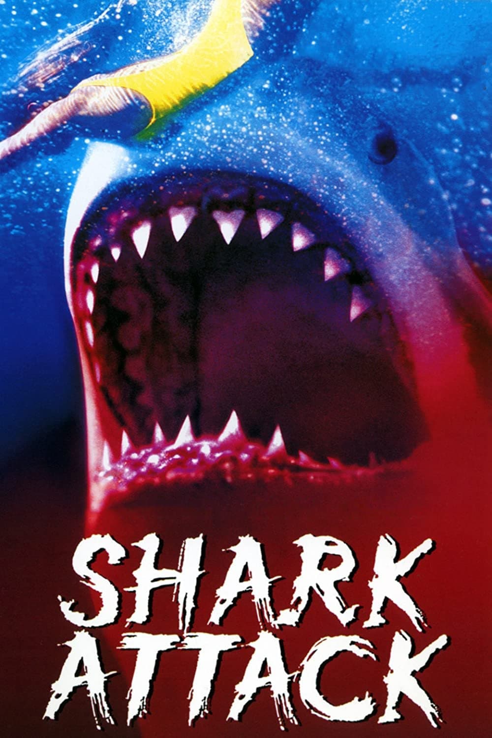Shark Attack photo