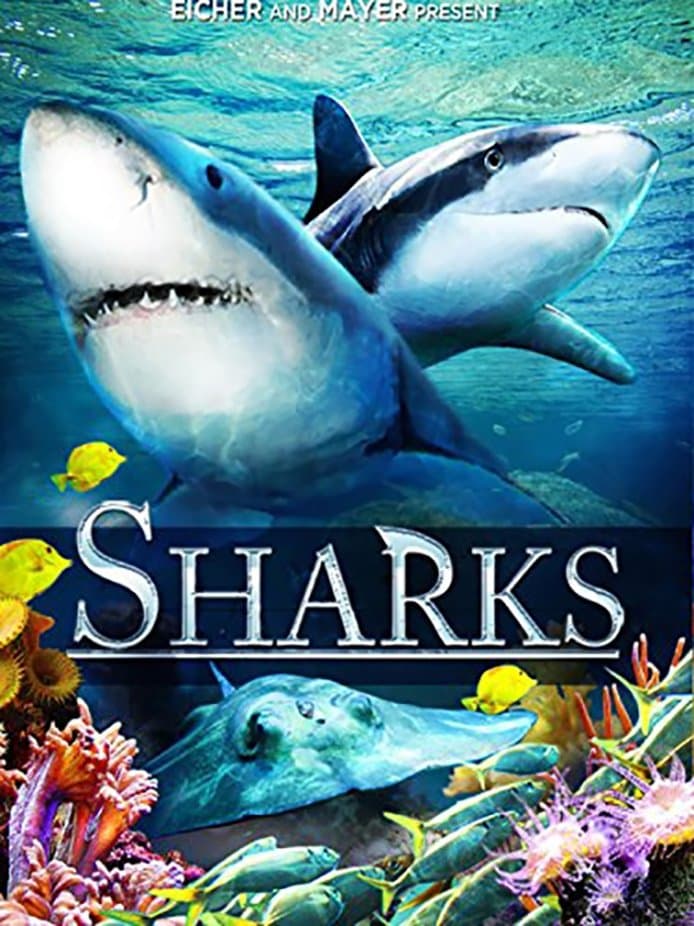 Sharks (in 3D) photo