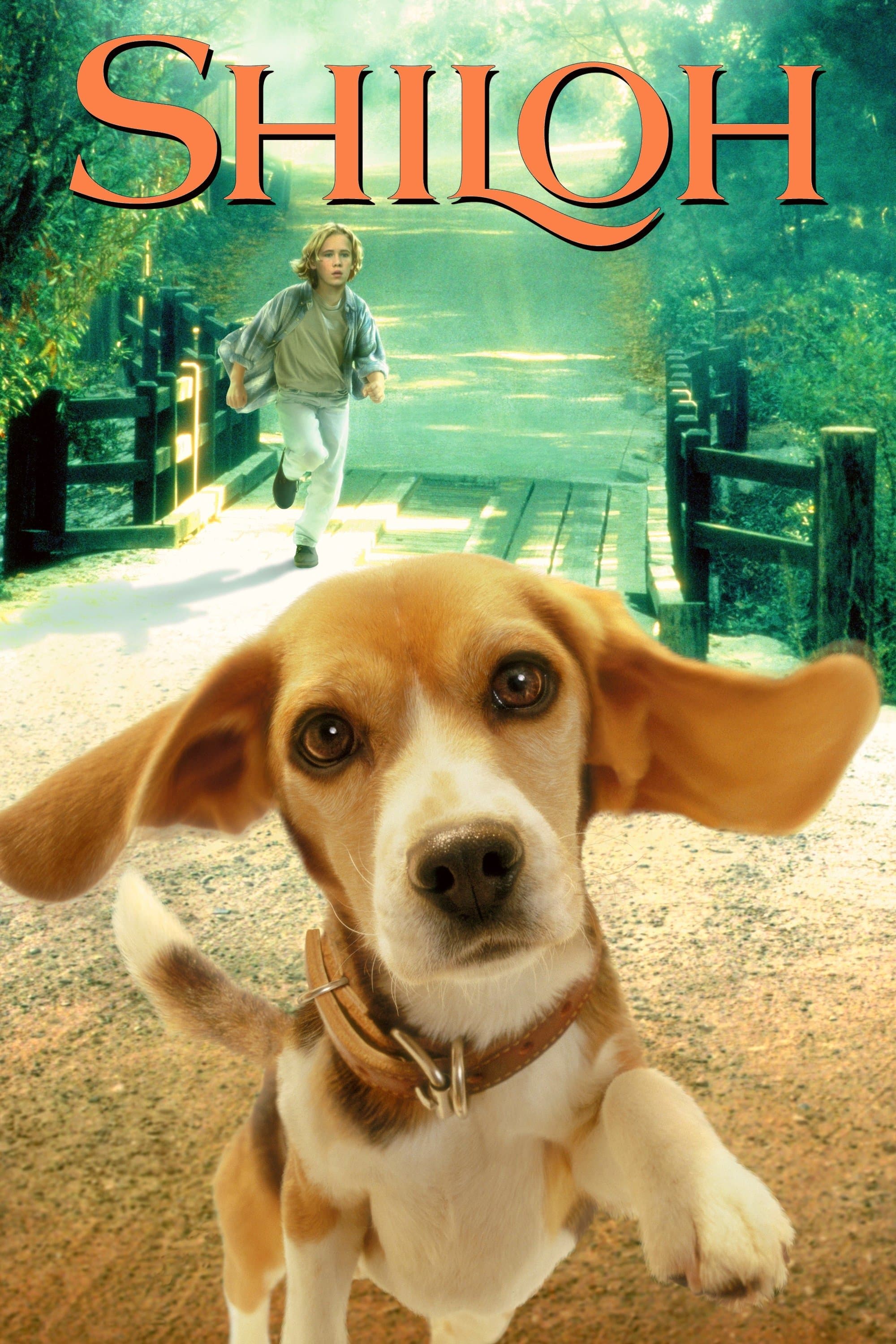 Shiloh photo
