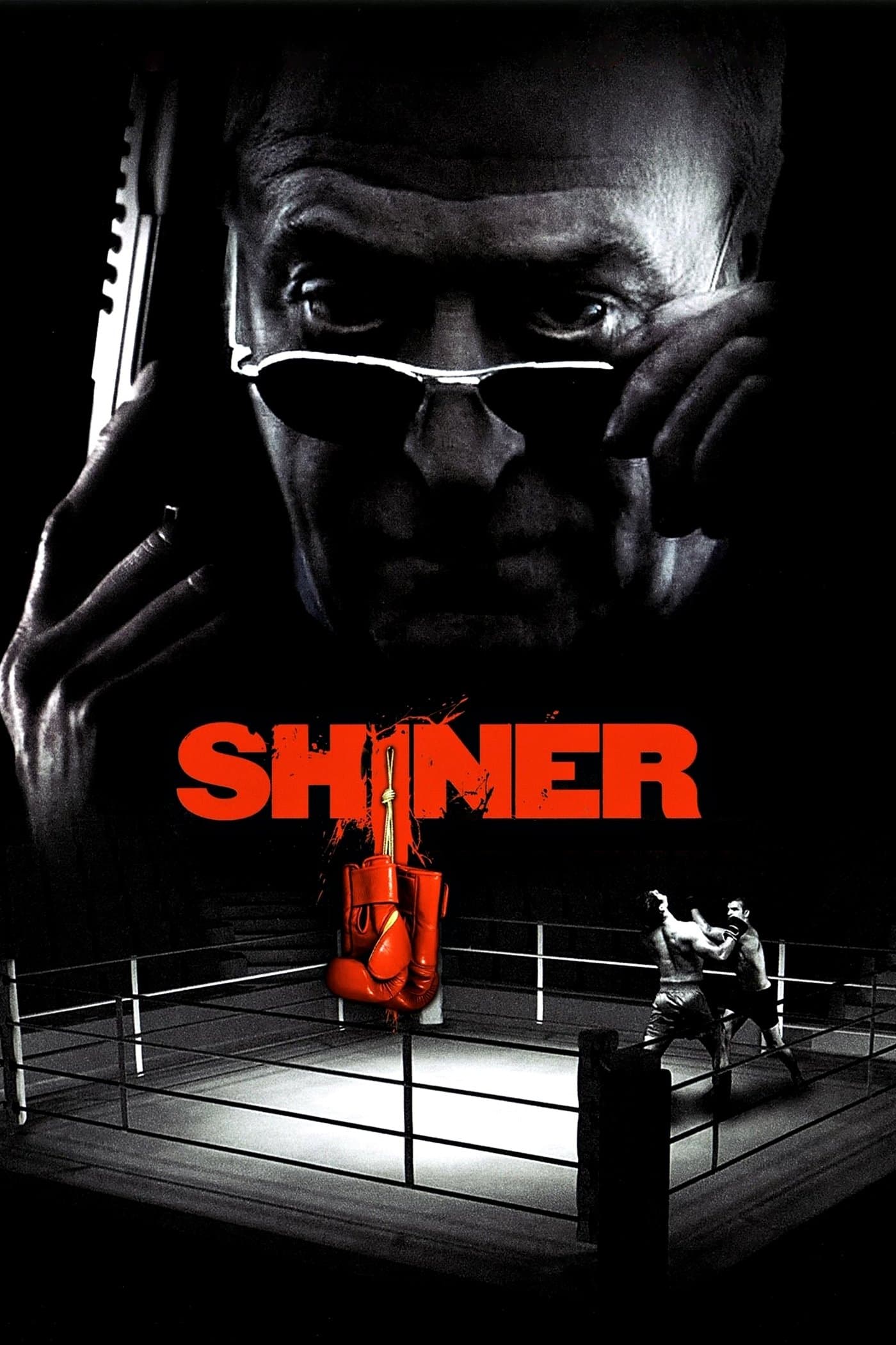 Shiner photo