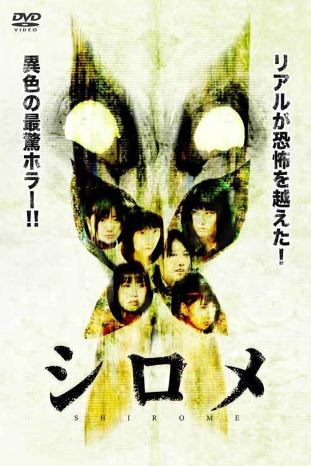 Shirome photo