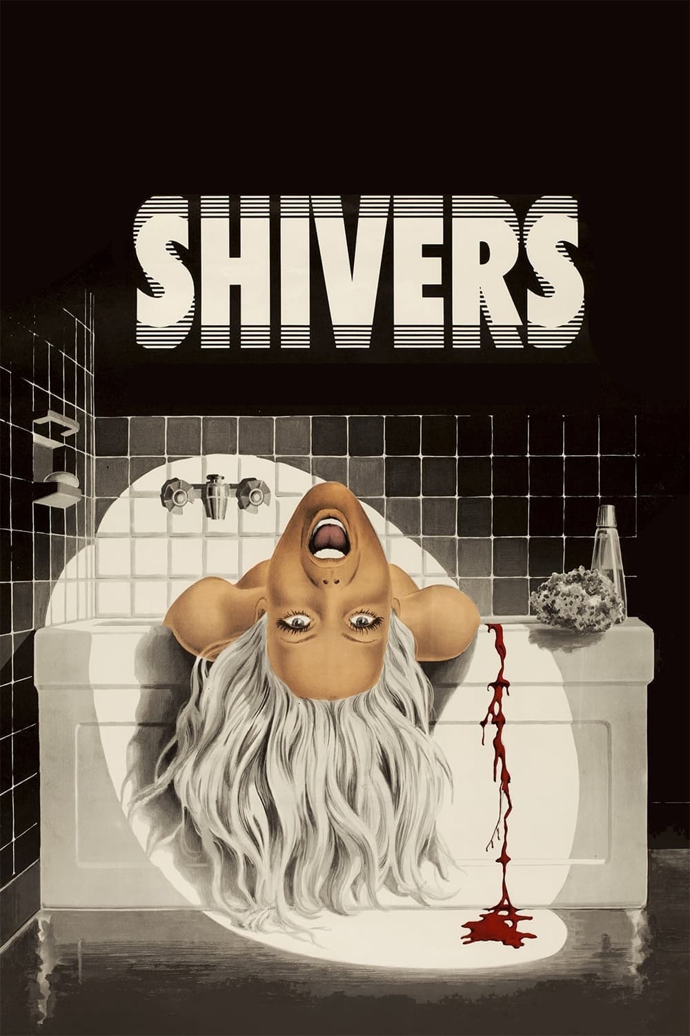 Shivers photo