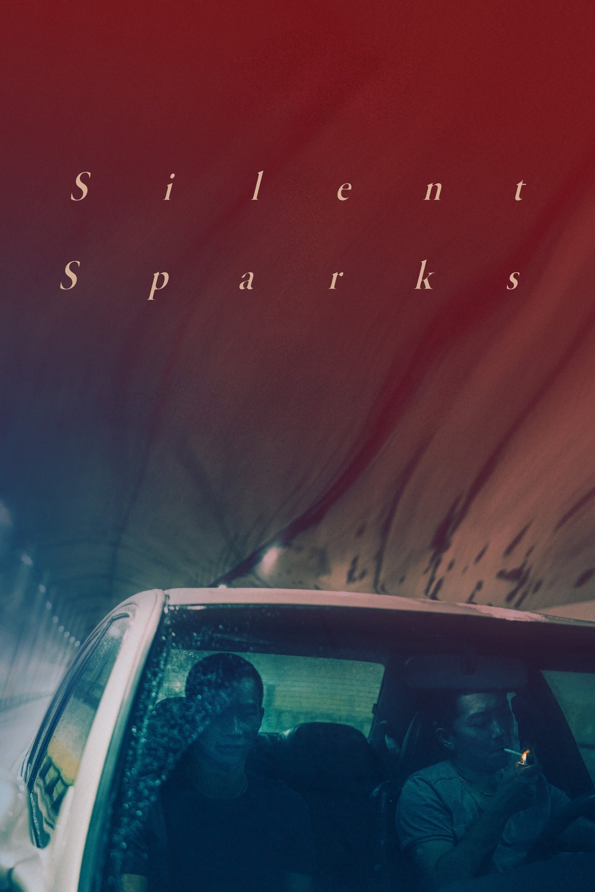 Silent Sparks photo
