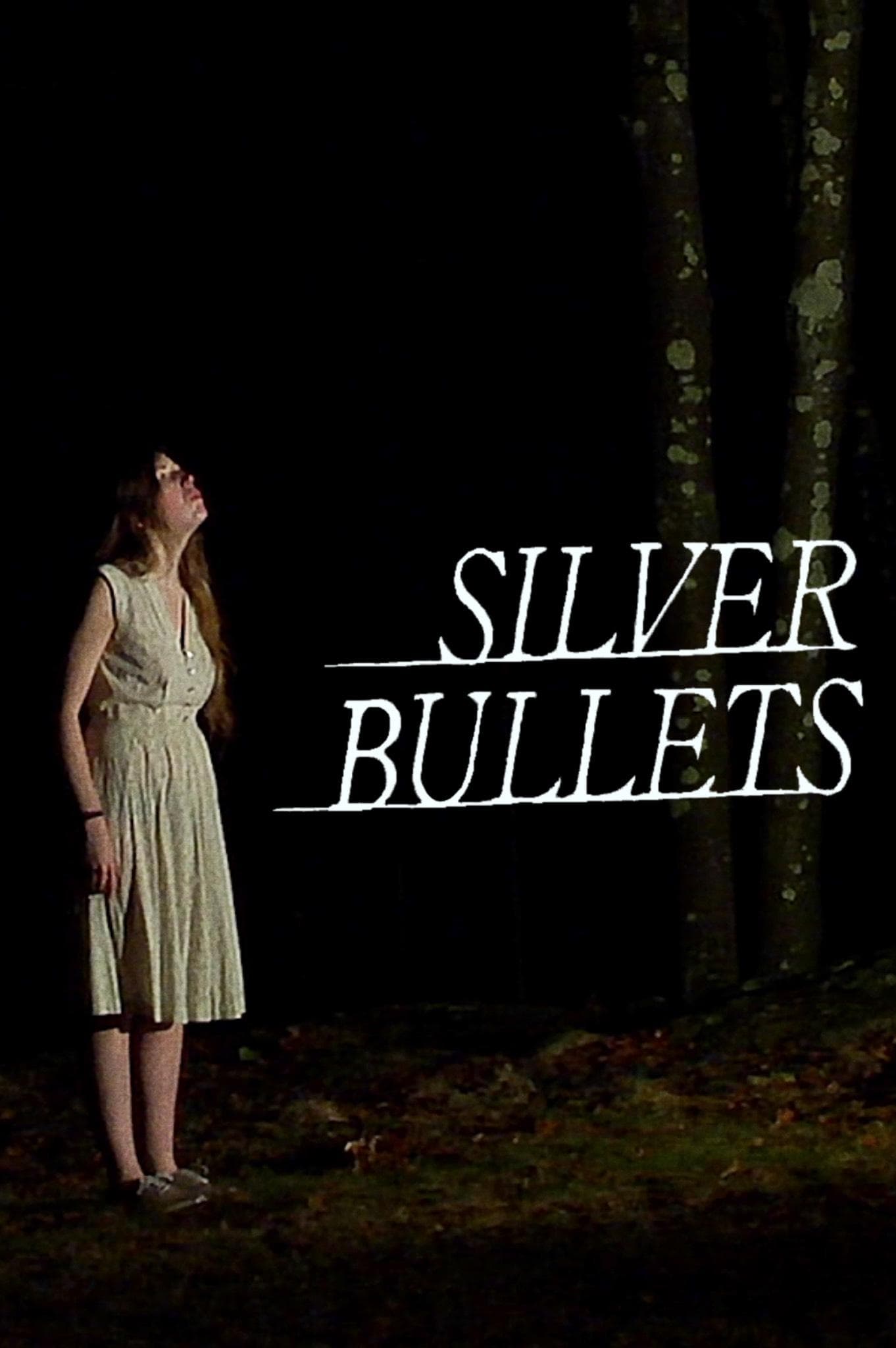 Silver Bullets photo