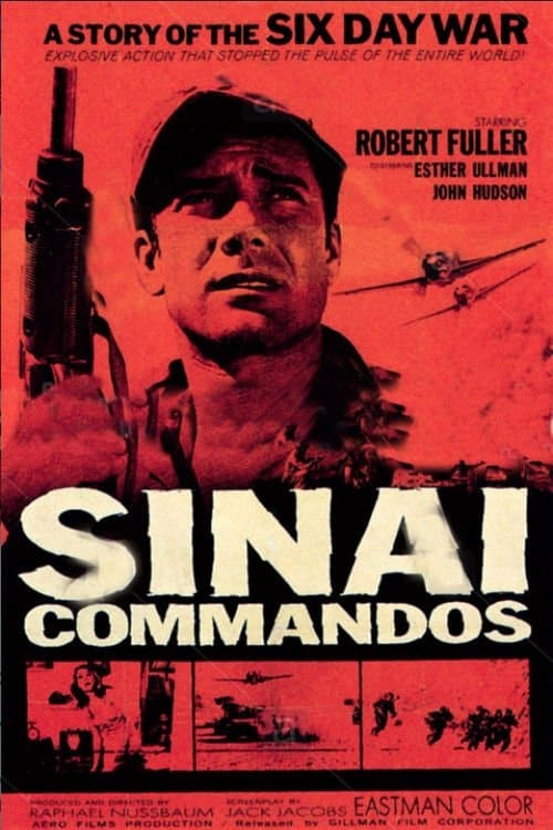 Sinai Commados photo
