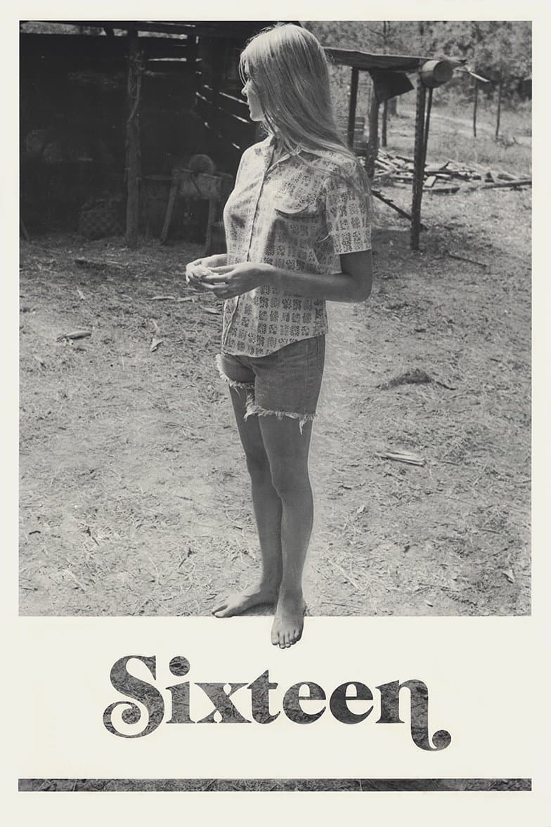 Sixteen photo