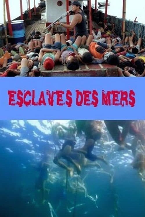 Slaves of the Seas photo