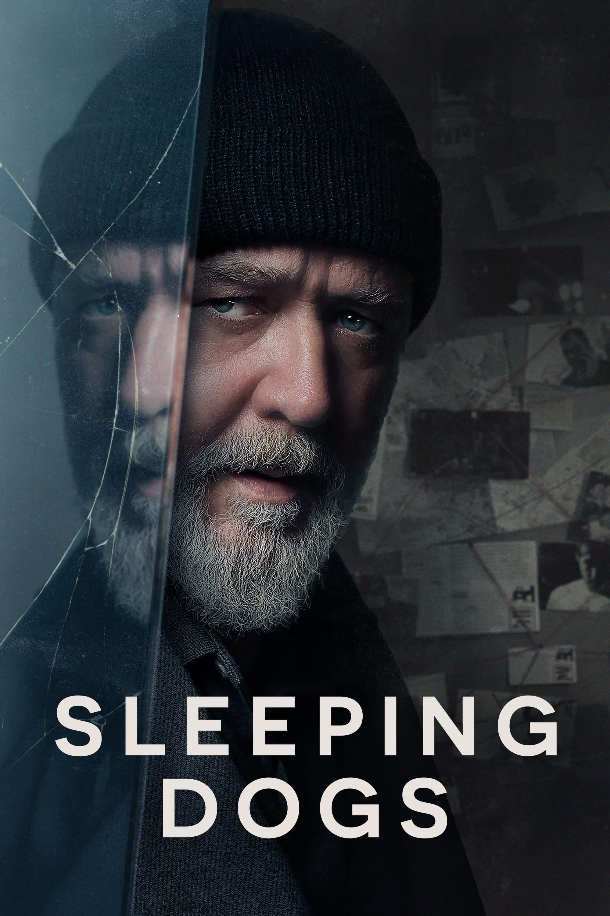Sleeping Dogs photo