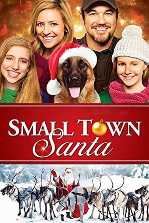 Small Town Santa photo