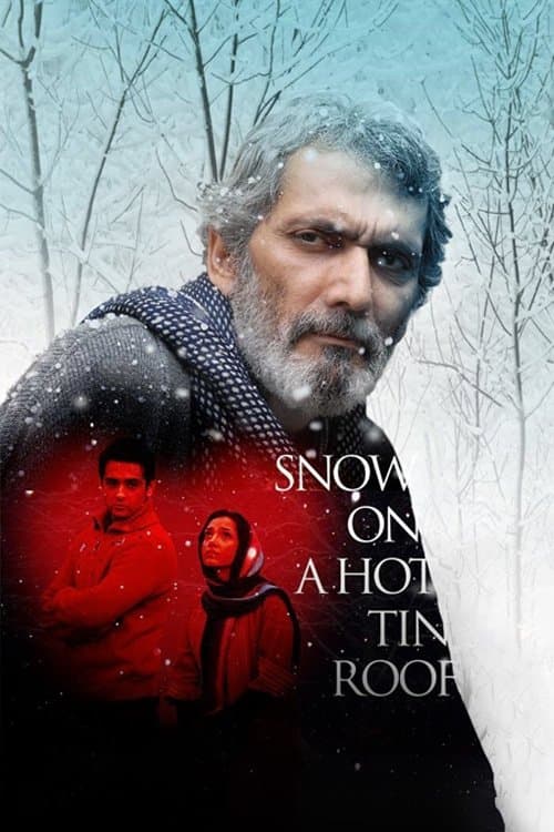 Snow on a Hot Tin Roof photo