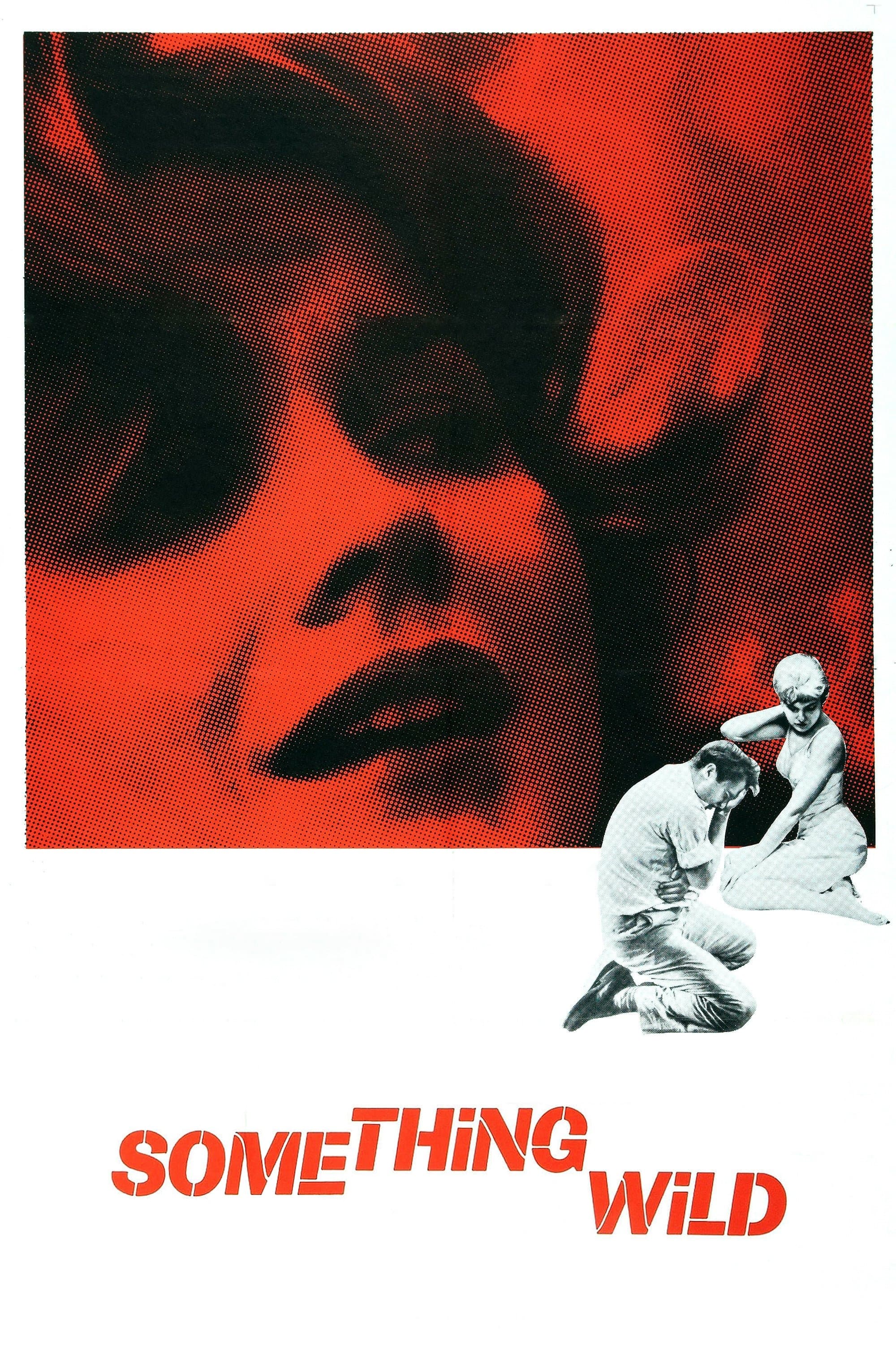 Something Wild photo