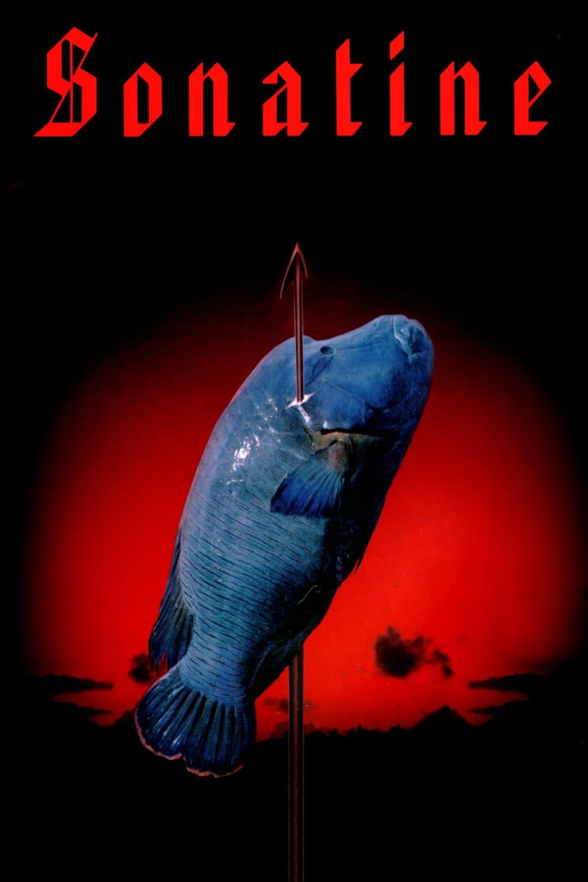 Sonatine photo