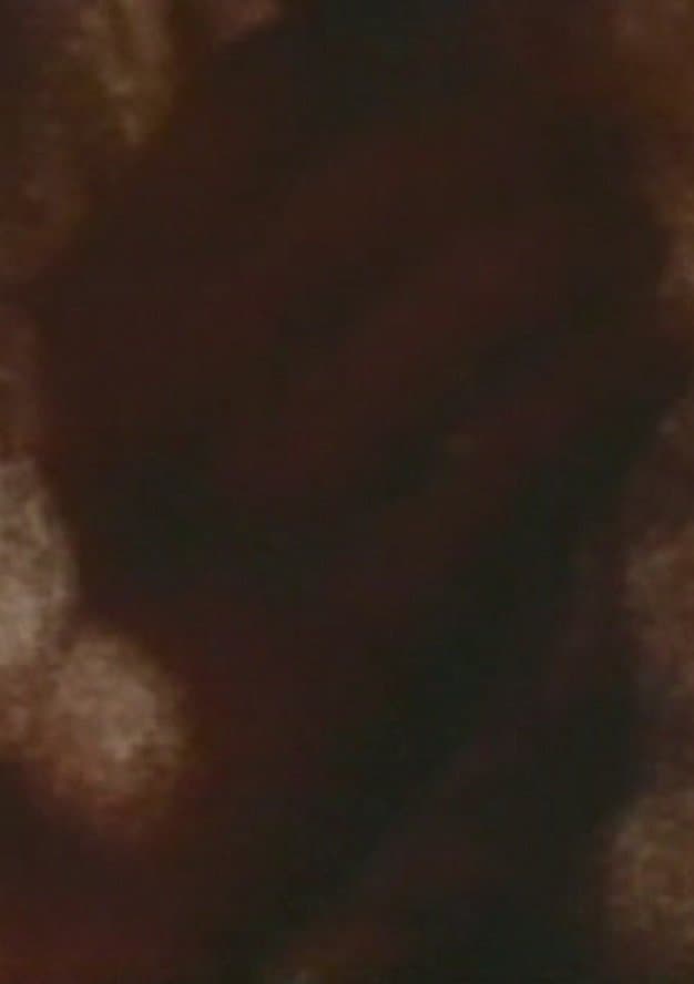 Song 5 photo