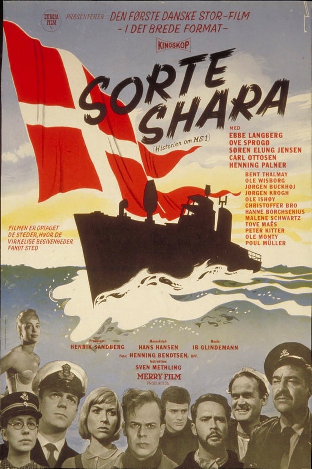 Sorte Shara photo