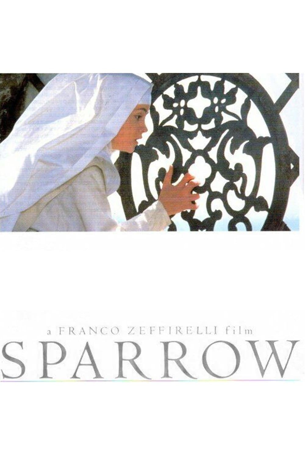 Sparrow photo