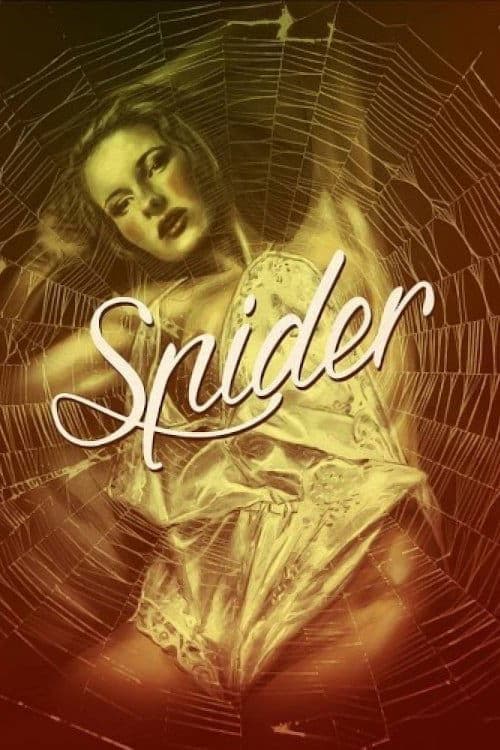 Spider photo