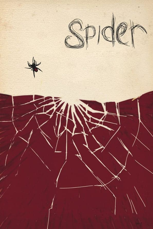 Spider photo